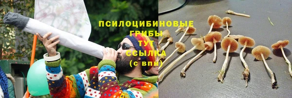 молекула духа Арсеньев